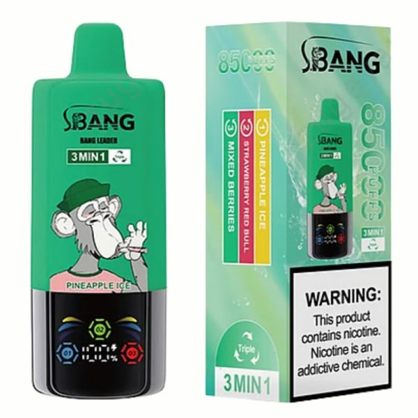 04.jpg Bang Leader 85000 Puffs