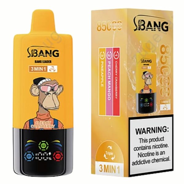 05.jpg Bang Leader 85000 Puffs