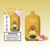 Aivono-Aim-Freak-Puffs-1-3.jpg Aivono Aim Freak 13000 Puffs