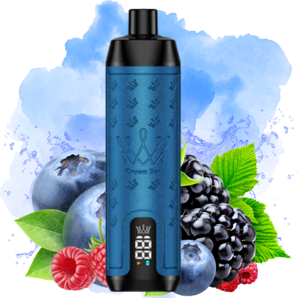 Al-Fakher-15000-Pro-Max-Berry-Blur-Flavor-1.png Al Fakher Berry Blue smak