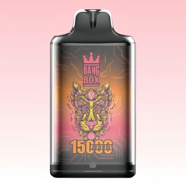 Bang-Box-S1-15000-Puffs-5.jpg Bang Box Black Dragon Ice Vape