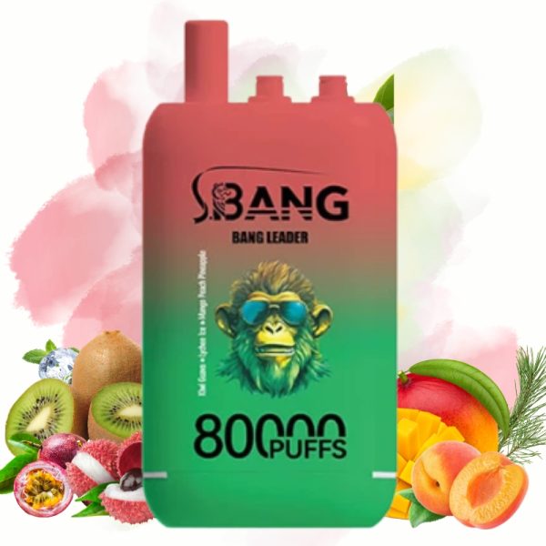 Bang-Leader-80000-Puffs-Kiwi-Passion-Lychee-lce-Mango-Peach-Pine.jpg Bang Leader Kiwi Passion & Lychee lce &Mango Peach Pine Vape