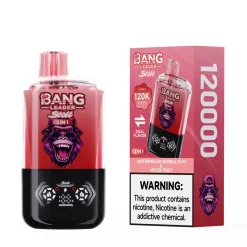 Bang-leader-120k3.webp Bang Leader 120k Puffs