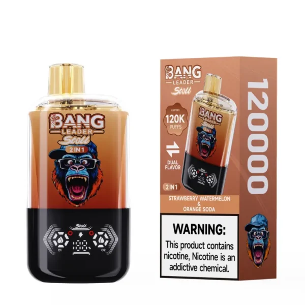 Bang-leader-120k4.webp Bang Leader 120k Puffs