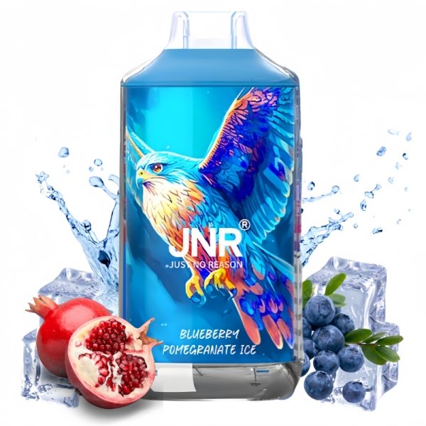 JNR Blueberry Pomegranate Ice smak