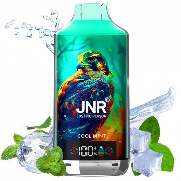 JNR-Falcon-X-18000-Cool-Mint-1.jpg JNR Cool Mint Vape