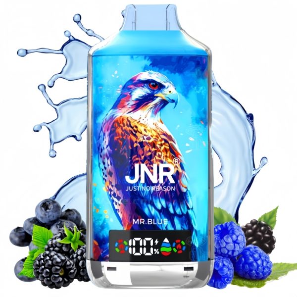 JNR-Falcon-X-18000-Mr-Blue-1.jpg JNR Mr.Blue Vape