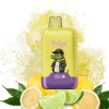 Lemon-Lime-5.jpg Vapsolo Lemon Lime Vape
