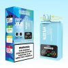 Razz-Bar-40000-Puffs-2.jpg Razz Bar Mixed Berries & Watermelon Ice smak