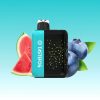 Tastefog-Starry-30000-Puffs-Smart-Pulse-Mode-Disposable-Vapes-with-Screen-On-Side-5.jpg Tastefog Blueberry Watermelon Vape
