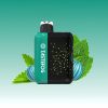 Tastefog-Starry-30000-Puffs-Smart-Pulse-Mode-Disposable-Vapes-with-Screen-On-Side-7.jpg Tastefog Blueberry Watermelon Vape