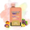 TastefogGemini25000Puffs1.jpg Tastefog Grape Lemonade&Mango Passion Fruit Vape