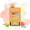 TastefogGemini25000Puffs5.jpg Tastefog Watermelon Ice & Lemon Lime Vape